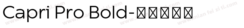 Capri Pro Bold字体转换